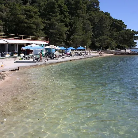 3195c * New Translation