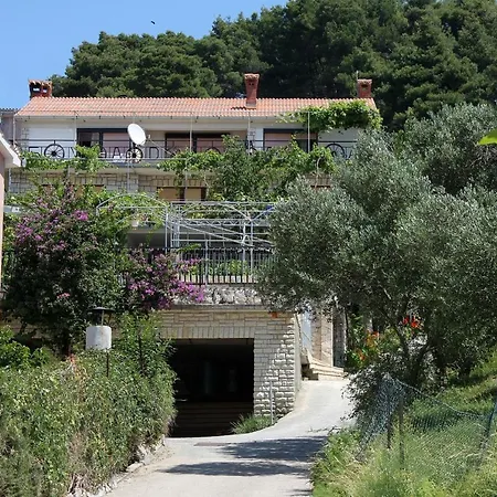 3195c New Translation