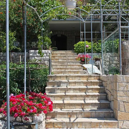 3195c Appartement Palit