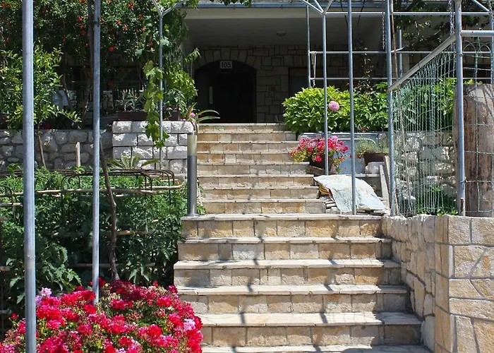 3195c Apartament Palit